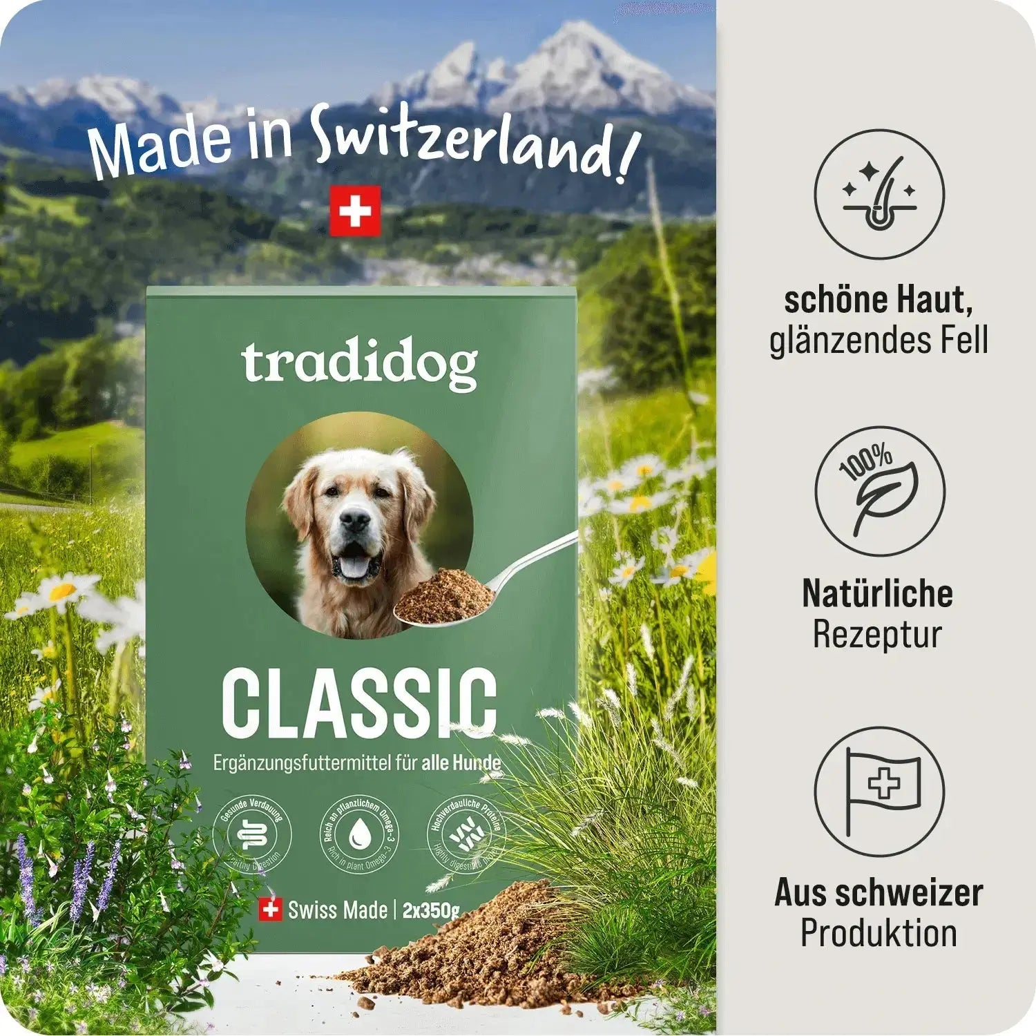 Starter Set - CLASSIC