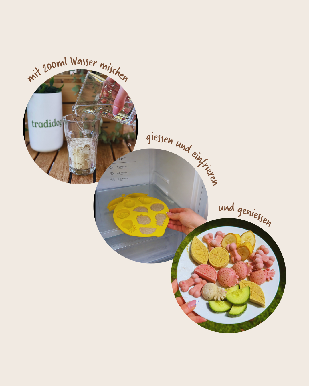 tradidog DOG-ICE Kokos – Hundeeis – Ansicht 3