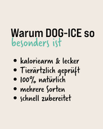 tradidog DOG-ICE Banane – Hundeeis – Ansicht 4